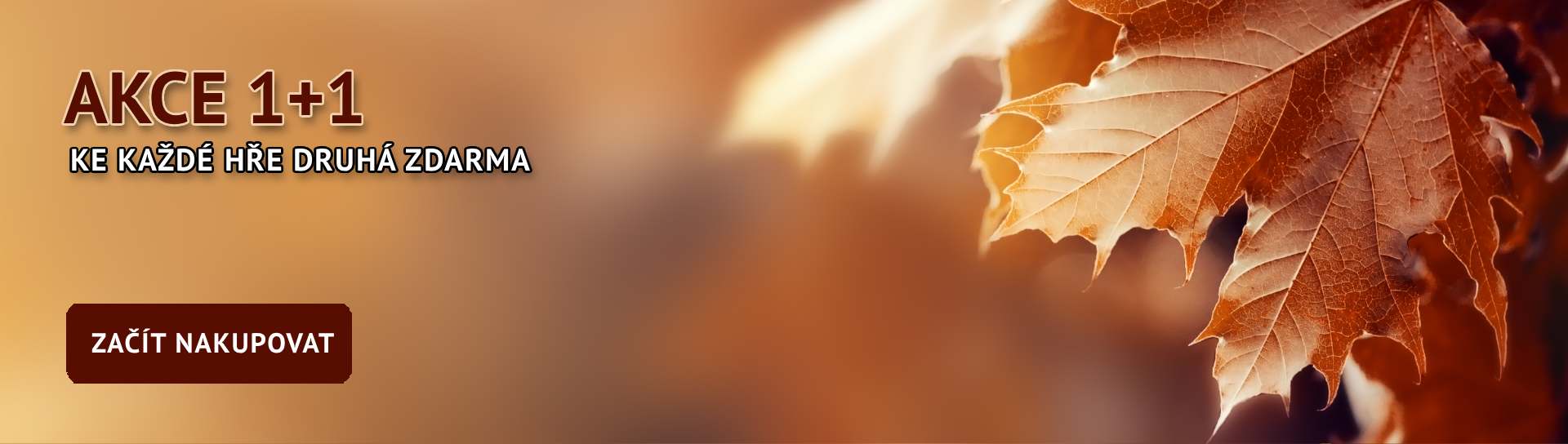 Slider podzim 2024 1+1